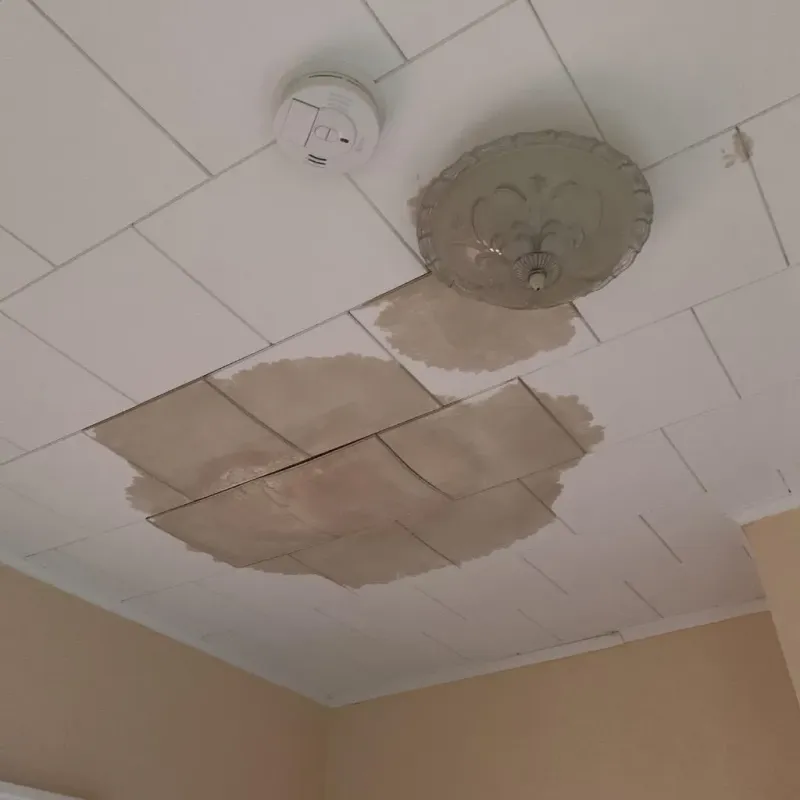 Ceiling Water Damage Repair in Lakehills, TX