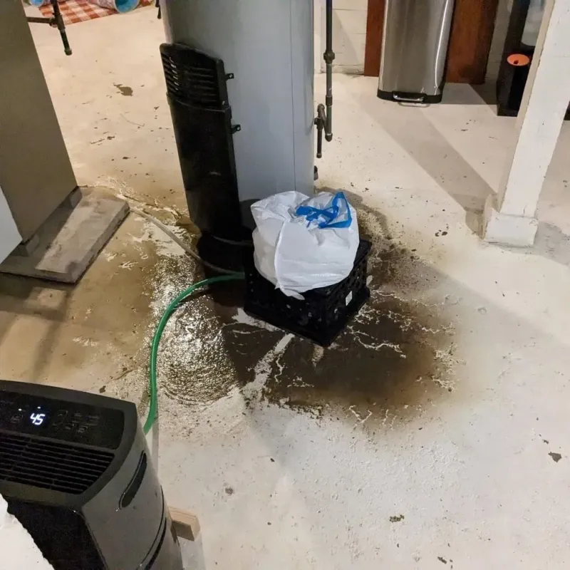 Sewage Backup Cleanup Service in Lakehills, TX
